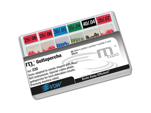 [4720] GuttaPercha 04 0.6 MTWO 60u