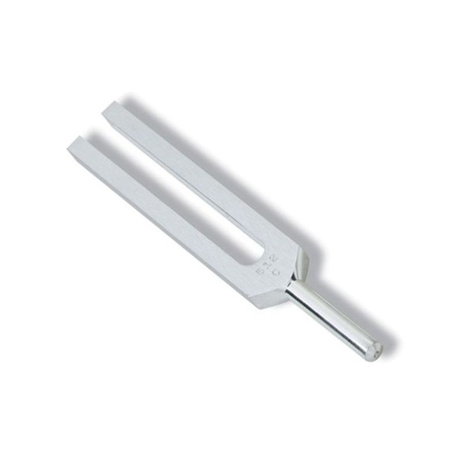 [4980] Diapasón aluminio 512/1024/2048Mhz