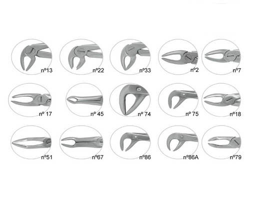 [0203433] Kit Fórceps ESTUDIANTES: 15 Fórceps Quiroproser®