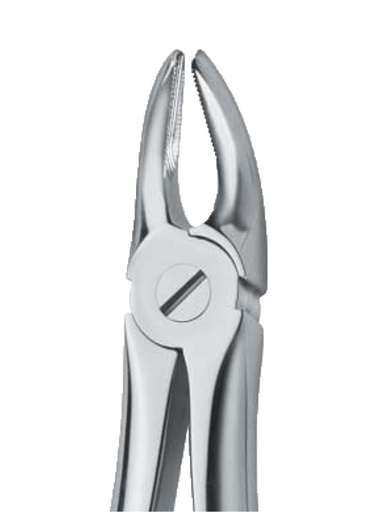 [12007] Forceps dental Nº.7 Premolares Martin