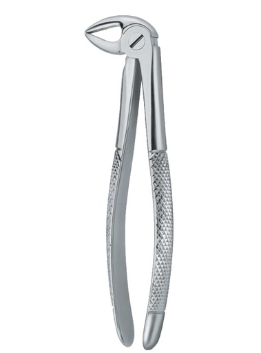 [12033] Forceps dental Nº.33 Raices Martin